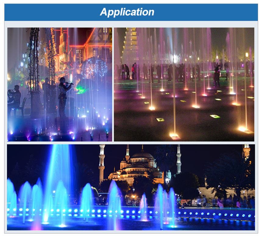 garden underwater with lights